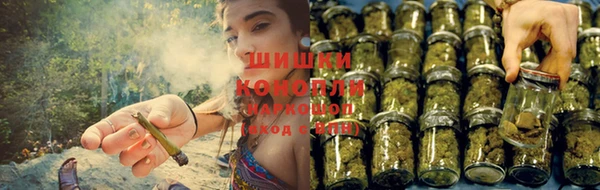 PSILOCYBIN Краснотурьинск